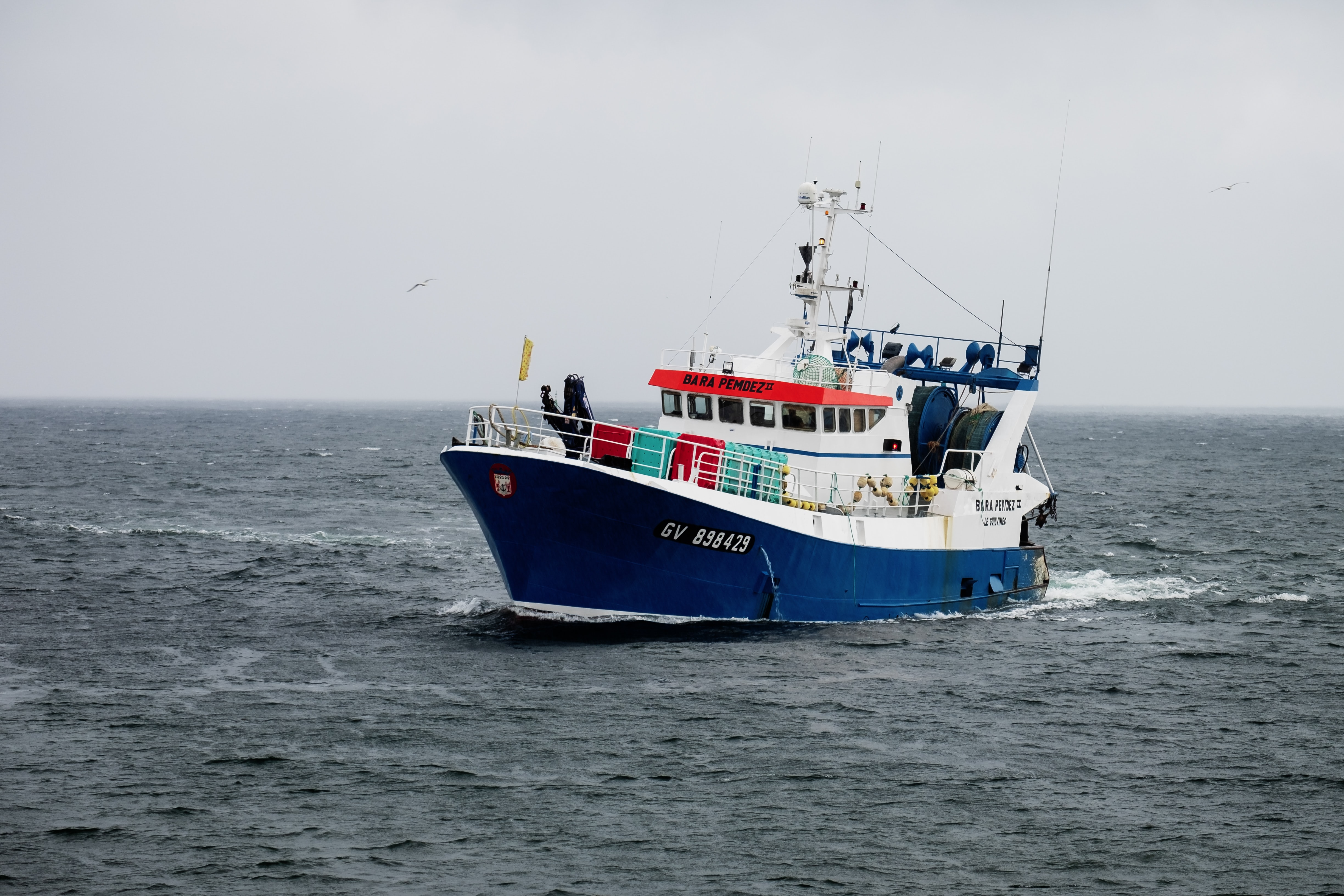 MAVA MedBycatch